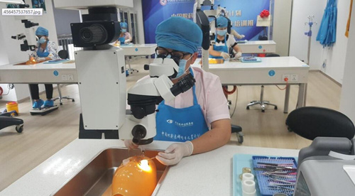 中国企业知识产权网：新利体育让 点亮光明世界1.jpg