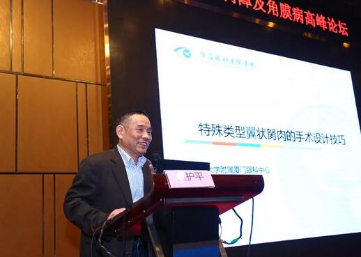 中华医学会眼科学分会主办、厦门大学附属厦门眼科中心承办的2018海峡两岸白内障及角膜病高峰论坛12月2日落幕10.jpg 中华医学会眼科学分会主办、厦门大学附属厦门眼科中心承办的2018海峡两岸白内障及角膜病高峰论坛12月2日落幕10.jpg