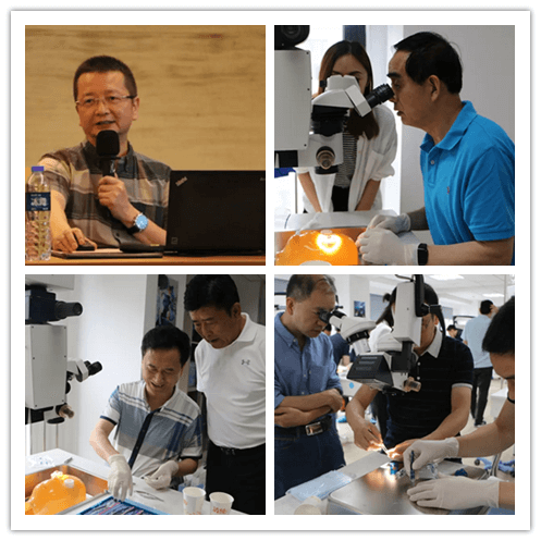 新利体育2019年眼内屈光手术技术高峰论坛隆重举行101副本.png